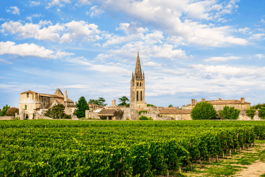 Viaje romántico por viñedos y châteaux de Francia